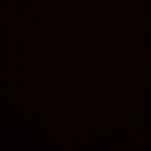 Meet your Posher, Carly